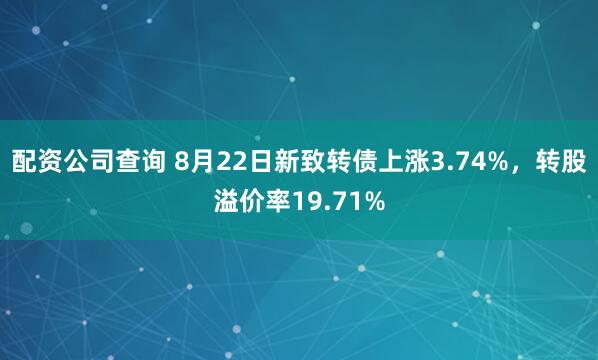 配资公司查询 8月22日新致转债上涨3.74%，转股溢价率19.71%
