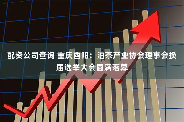 配资公司查询 重庆酉阳：油茶产业协会理事会换届选举大会圆满落幕